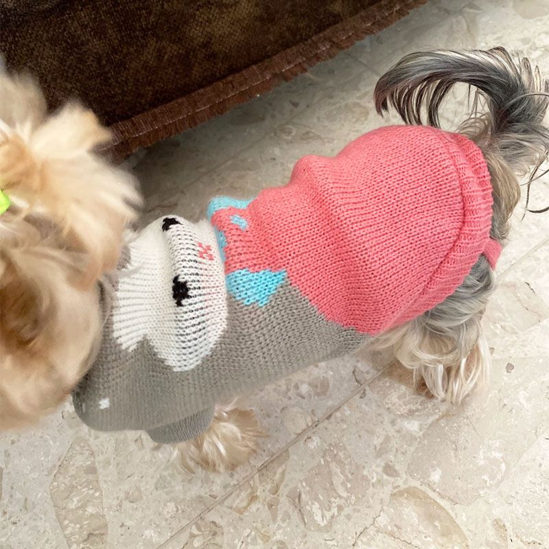suéter para perro pequeño