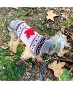 sweater for yorkie