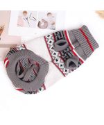 yorkshire terrier sweater