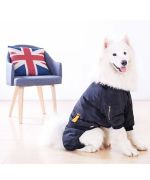 combinaison pour gros chien