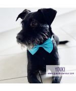 dog wedding knot
