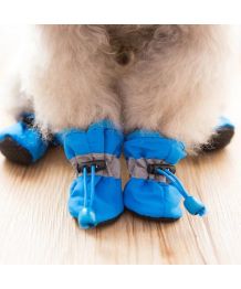 Zapatos para perro y gato de peluche