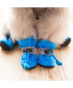 dog snow shoe
