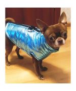 down jacket for chihuahua