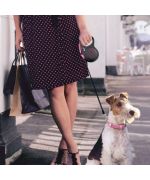 flexible leash for fox terrier