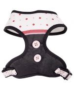 dom tom delivery dog harness