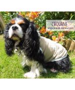 camiseta para cavalier king charles