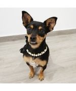 collar de perro de perlas