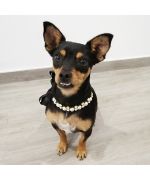 pearl collar for dog