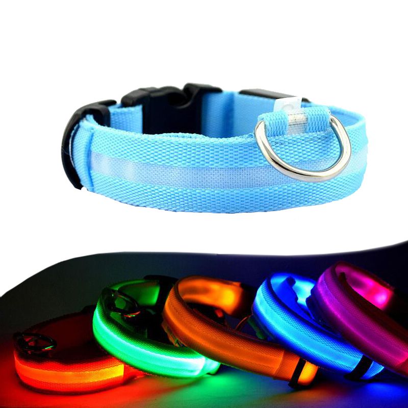 Collier à led pour chien - Colliers leds pour chiens pas chers