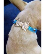 chic dog collar