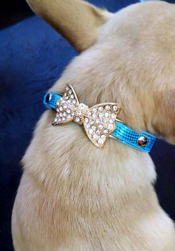 Collar ajustable para mascotas perro gato correa ajustable para gatos  accesorios para perros mascotas perro pajarita cachorro lazos perro mascotas  suministros