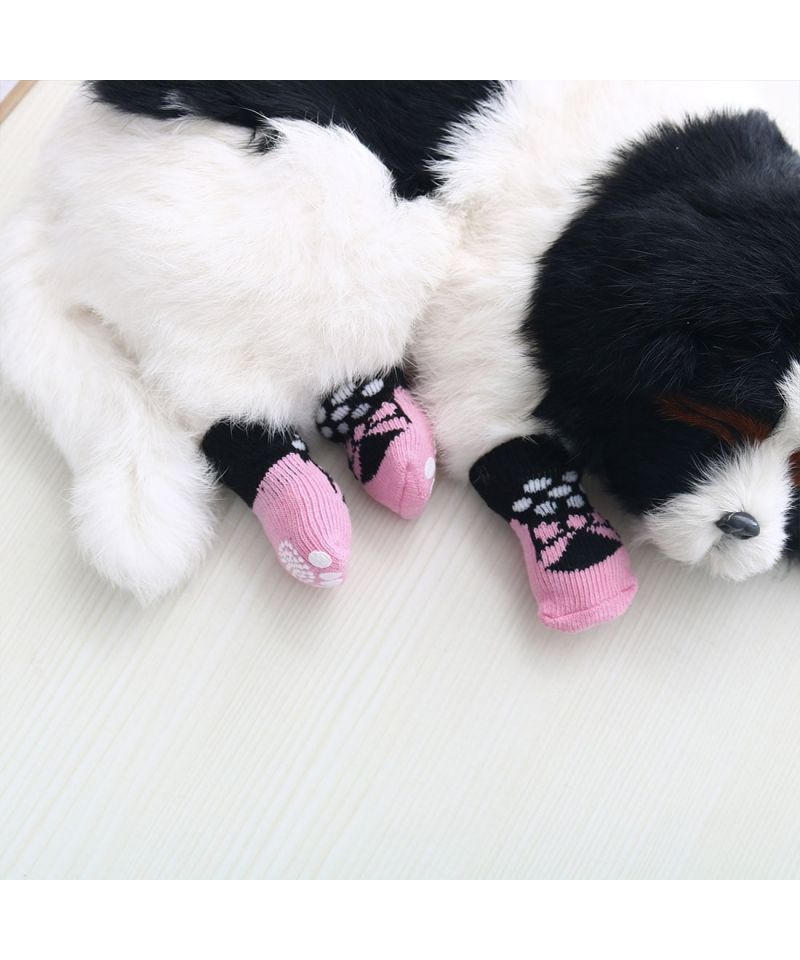 guión soltar extremidades Calcetines para perros - Calcetines originales para perros niña