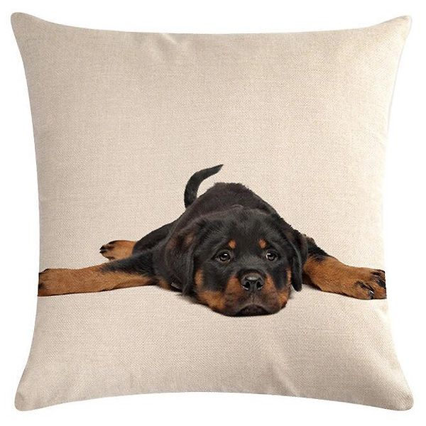 cushion rottweiler