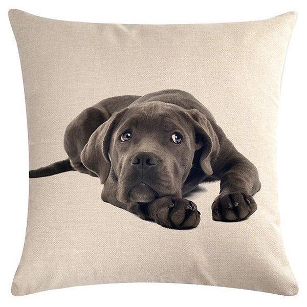 weimaraner cushion