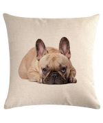 coussin bouledogue francais