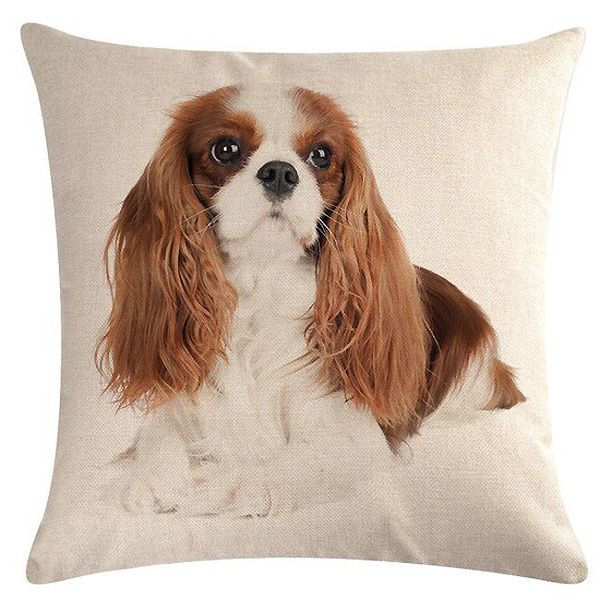 coussin cavalier king charles