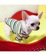 t-shirt pour chihuahua