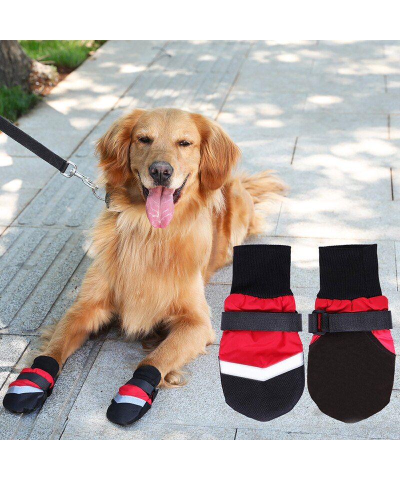 Chaussures pour grand chien - Chaussure gros chiens