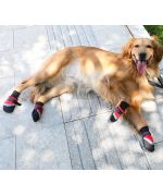 large dog shoes