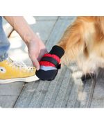 chaussure pour grand chien