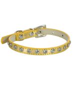 rhinestone collar for small golden dog
