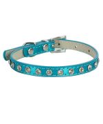 rhinestone collar for small blue dog