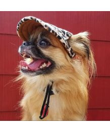 Cap dog - leopard