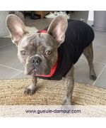 abrigo de perro reversible
