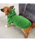 frog dog sweatshirt