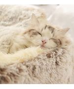 soft cat bed