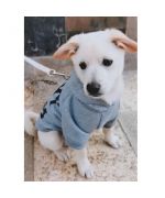 suéter con capucha para perros
