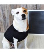 Camiseta personalizada para perros y gatos