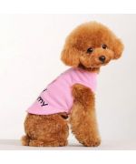 pink dog sweater with rhinestones