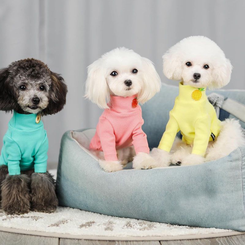 pull pour chien en coton