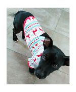 pijama para perro pequeño