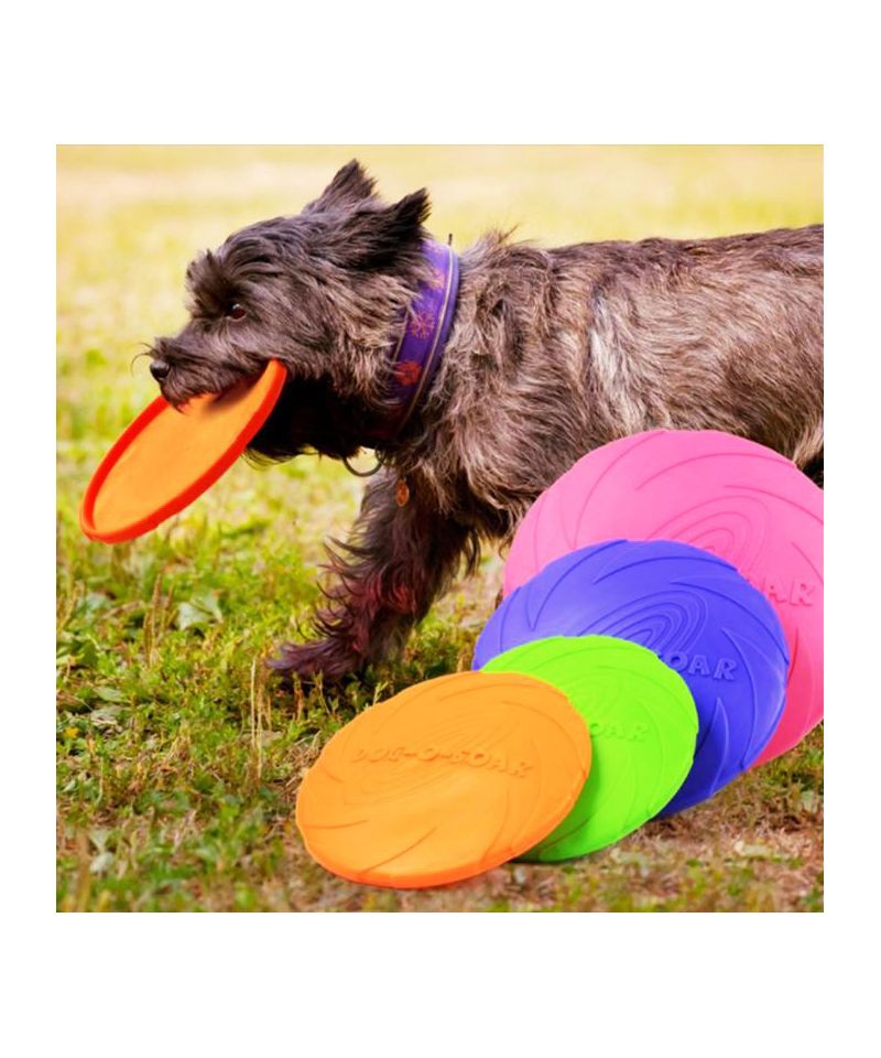 Frisbee pour chien