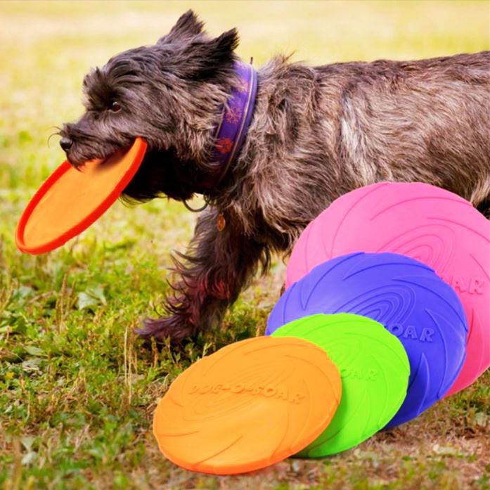 perro pequeño fresbee