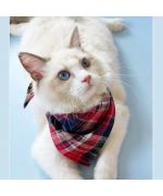 bandana pour chat