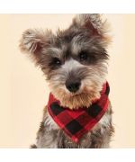 bandana pour chien à carreaux