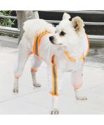 transparent raincoat for dog with paws
