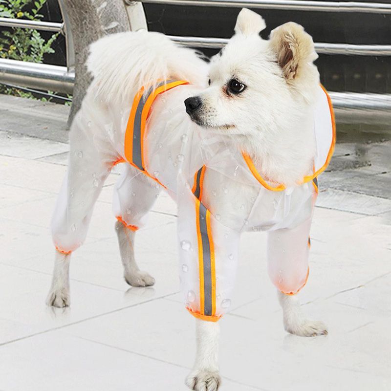 imper transparent pour chien à pattes