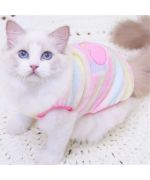 ropa de gato de lana