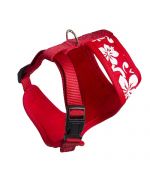red dog t-shirt harness