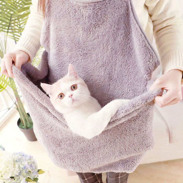 sac pour chat pour le transport à la maison