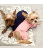 pyjama de nuit pour chien
