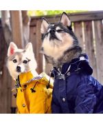 blue raincoat for sailor dog