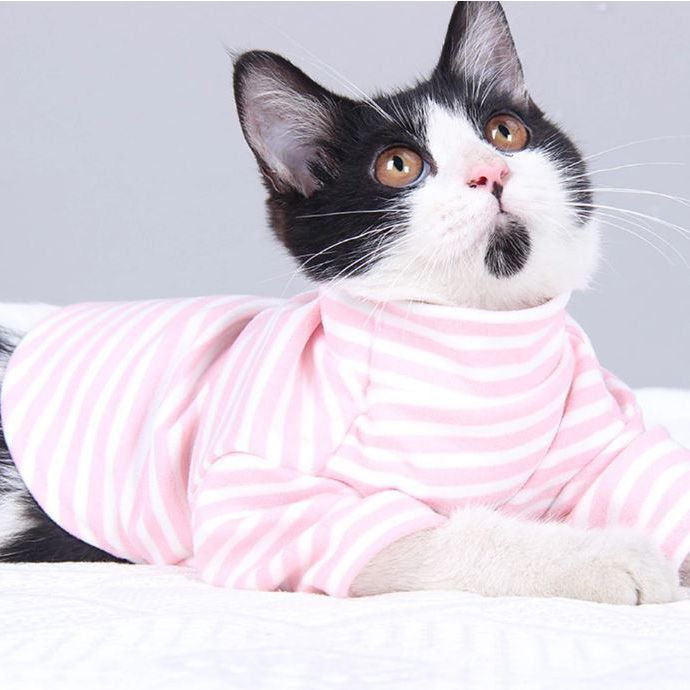 sailor cat sweater