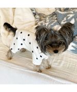 jumpsuit for yorkshire terrier