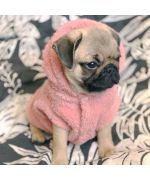 suéter de perro súper suave